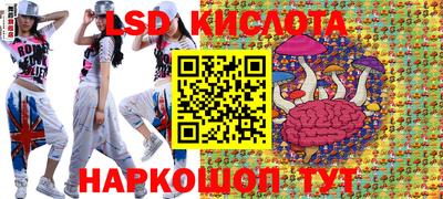 мдпв Гатчина