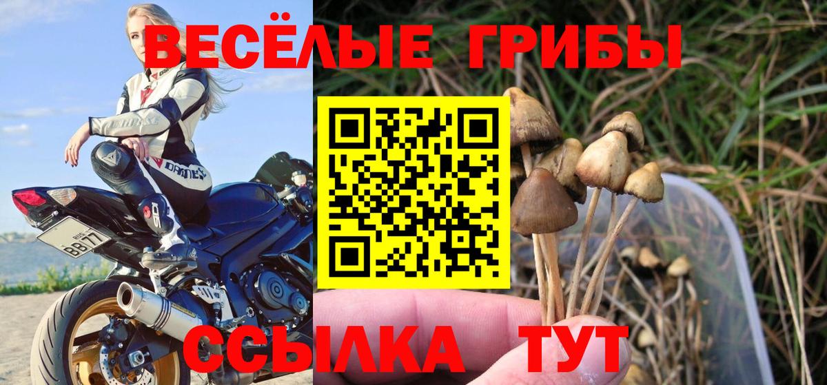 Галлюциногенные грибы MAGIC MUSHROOMS  Вход с VPN  Миллерово 