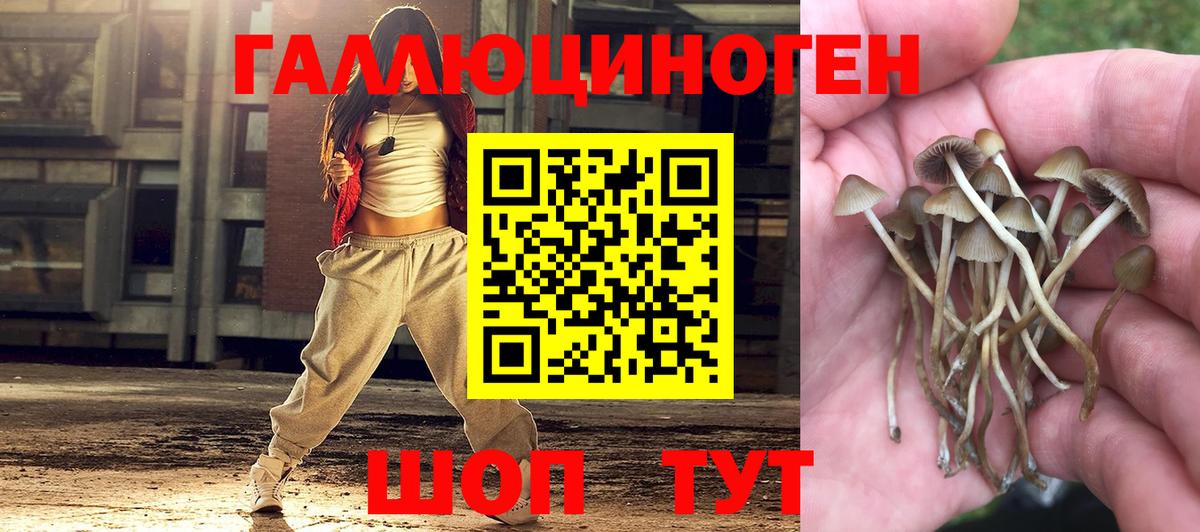 Псилоцибиновые грибы ЛСД Миллерово